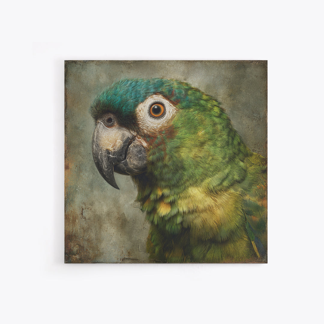 Parrot Portrait with Emerald Feathers Framed Canvas Print, Tropical Art, Digital Print, Living Room Decor, Fine Art, Tropic, TRO-1x1-56