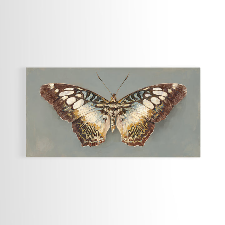 Tropical Butterfly and Flower Study Framed Canvas Print, Tropical Art, Printable, Living Room Decor, Oil Painting, Tropic, TRO-2x1-43