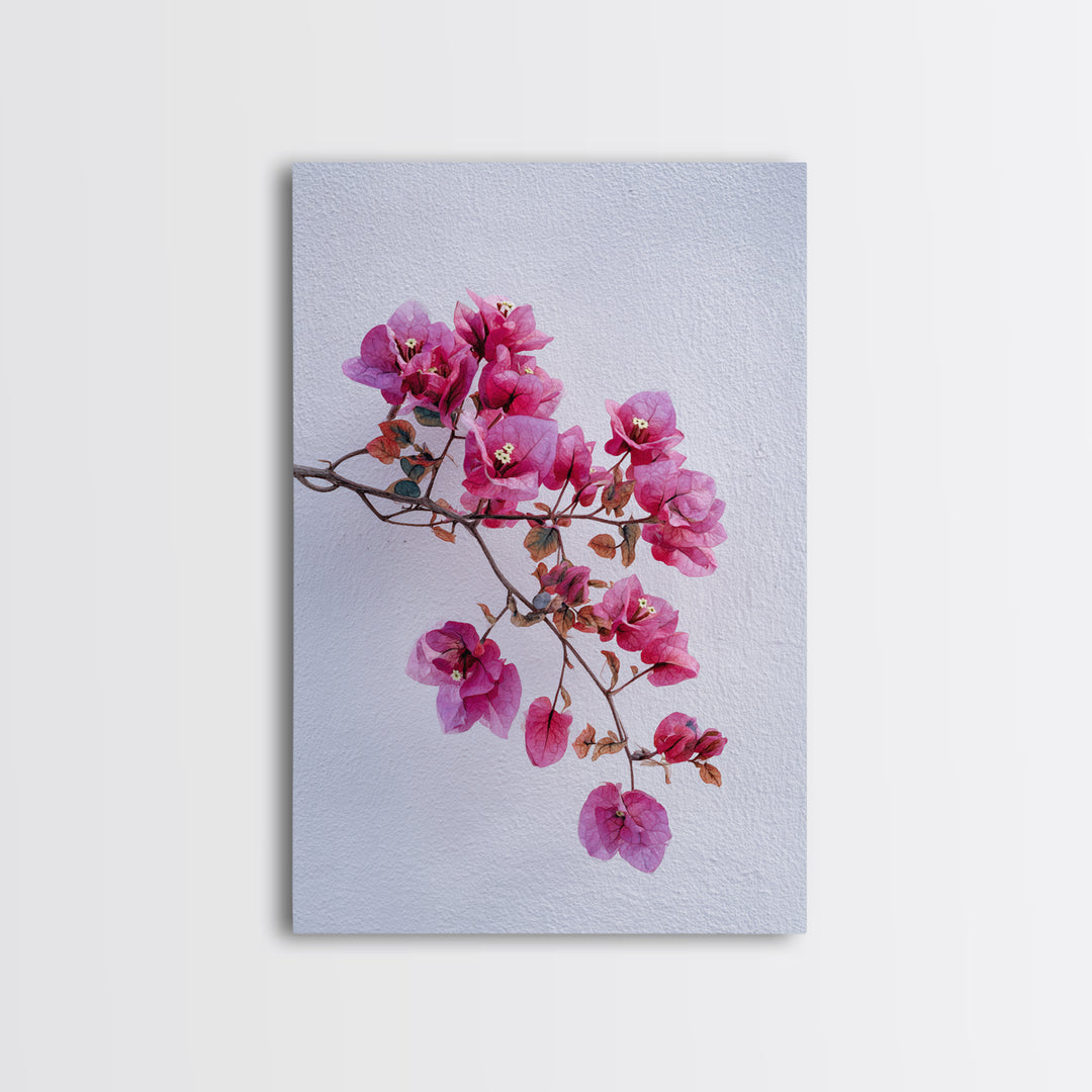 Pink Bougainvillea over White Wall Framed Canvas Print, Tropical Art, Modern Decor, Living Room Decor, Fine Art, Tropic, TRO-2x3-24