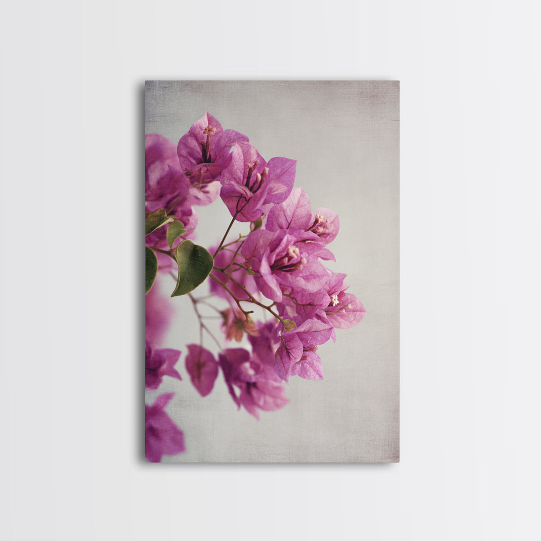 Pink Bougainvillea over White Wall Canvas Print, Tropical Art, Abstract Painting, Living Room Decor, Fine Art, Tropic, TRO-2x3-96