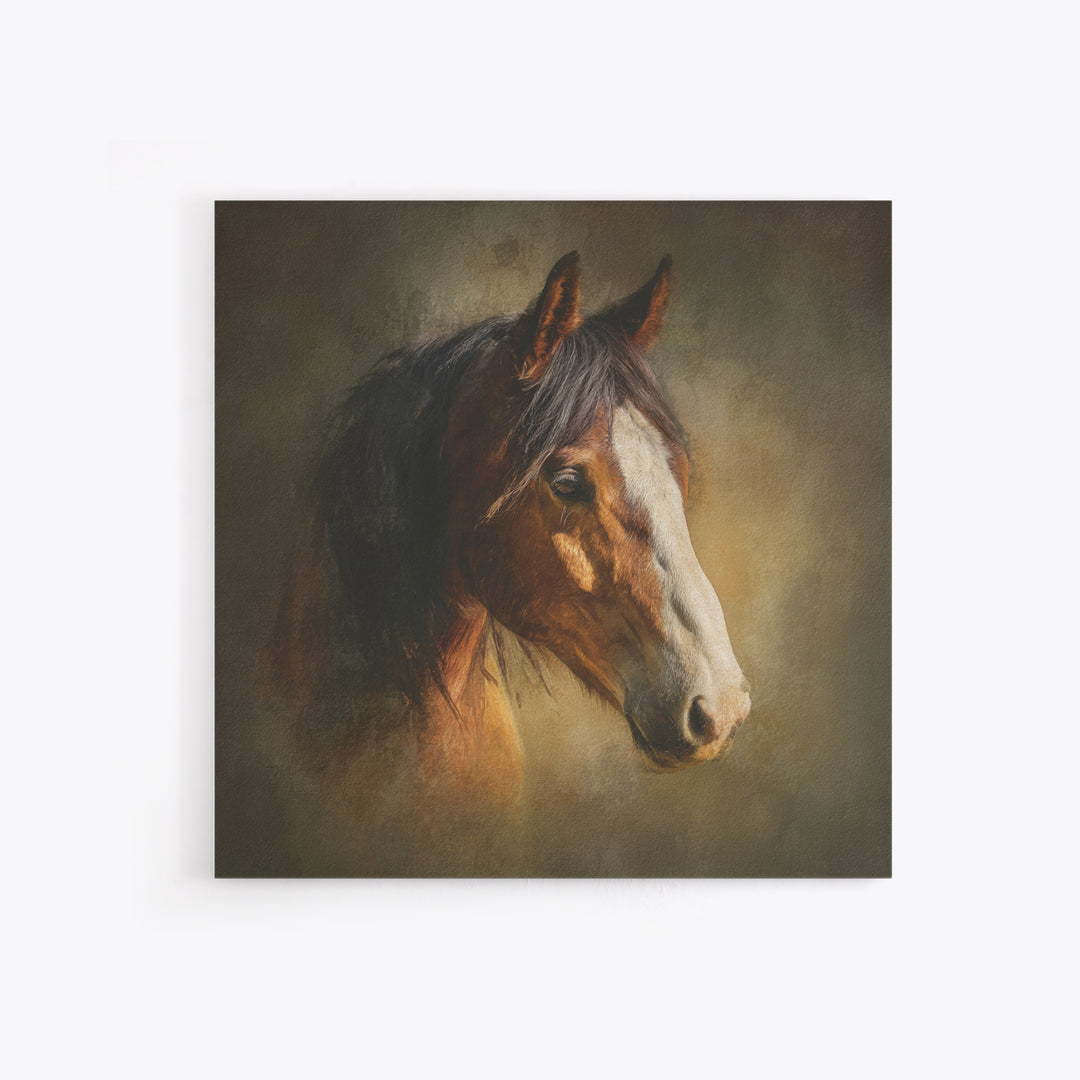 Wild Horse Portrait Canvas Print, Wall Art, Abstract Wall Art, Living Room Decor, Fine Art, Contemporary Art, WAL-1x1-13