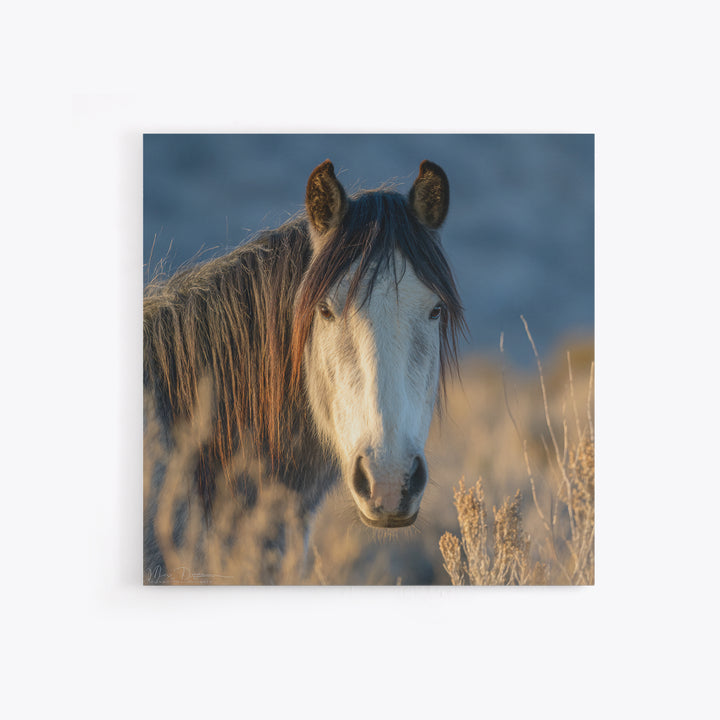 Wild Horse Portrait Framed Canvas Print, Wall Art, Boho Decor, Living Room Decor, Fine Art, Painting, Art Print, WAL-1x1-61