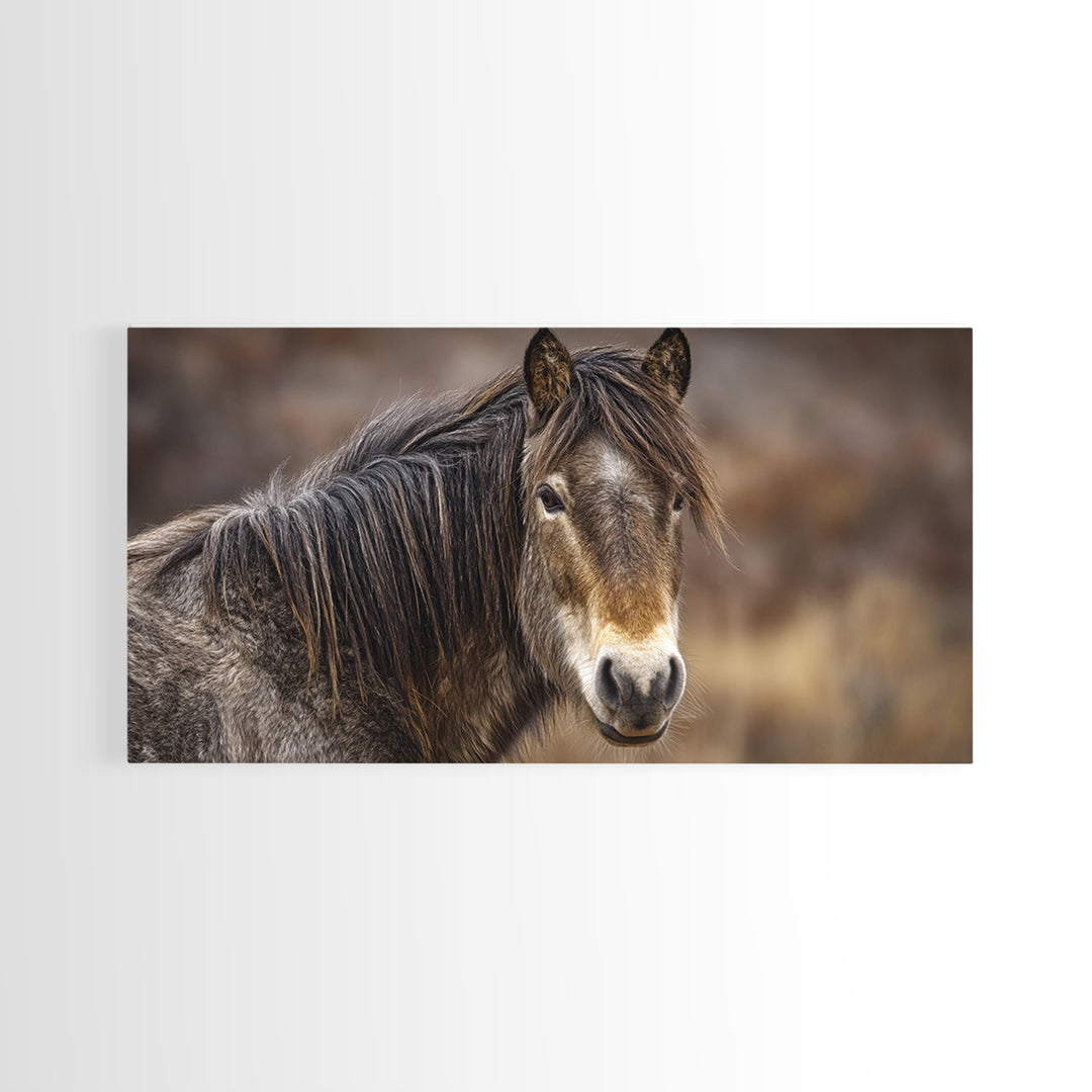 Wild Horse Portrait Framed Canvas Print, Wall Art, Wall Decor, Living Room Decor, Fine Art, Large Wall Art, Art Deco, WAL-2x1-9