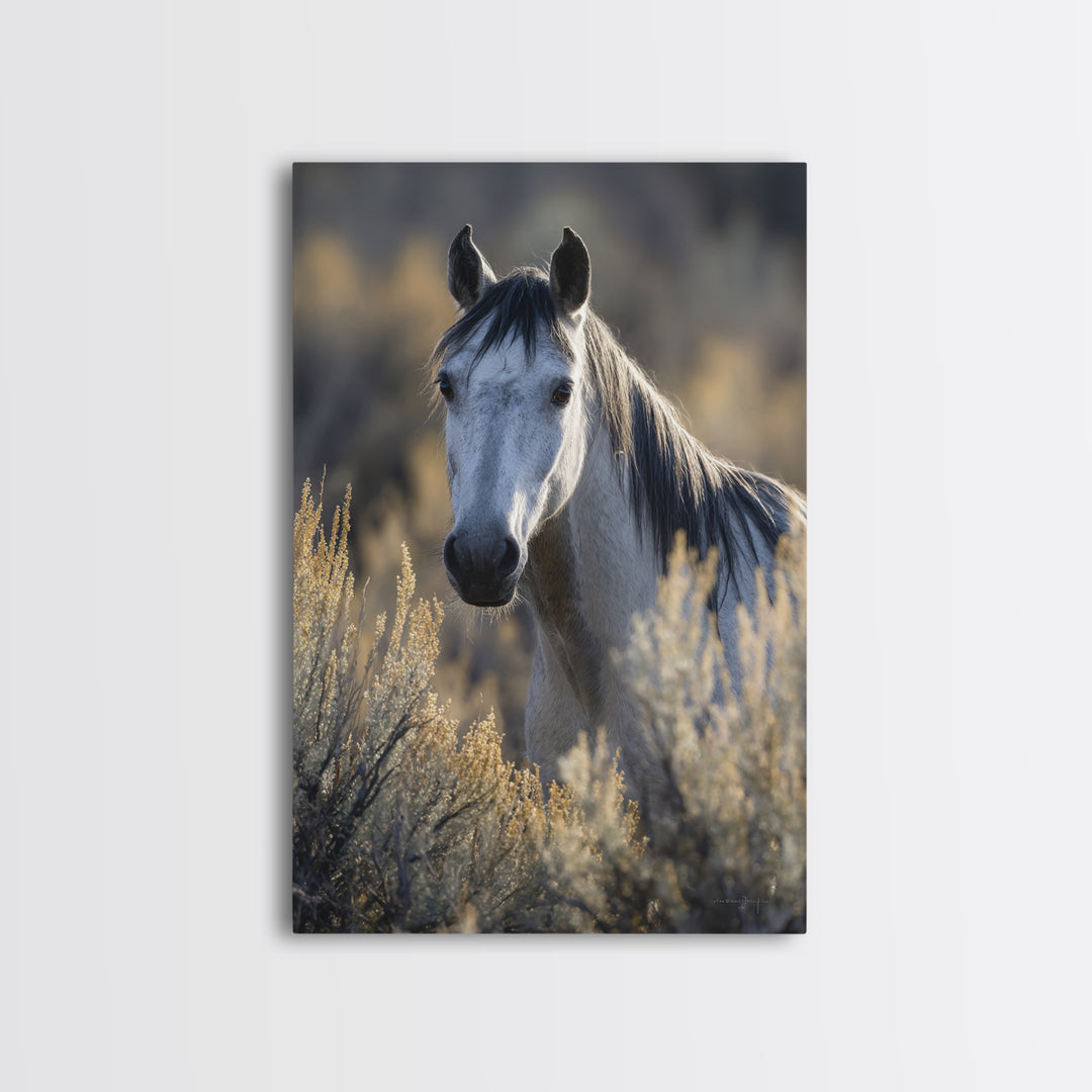 Wild Horse Portrait Framed Canvas Print, Wall Art, Heart, Living Room Decor, Fine Art, Home Decor Gift, Original Art, WAL-2x3-21