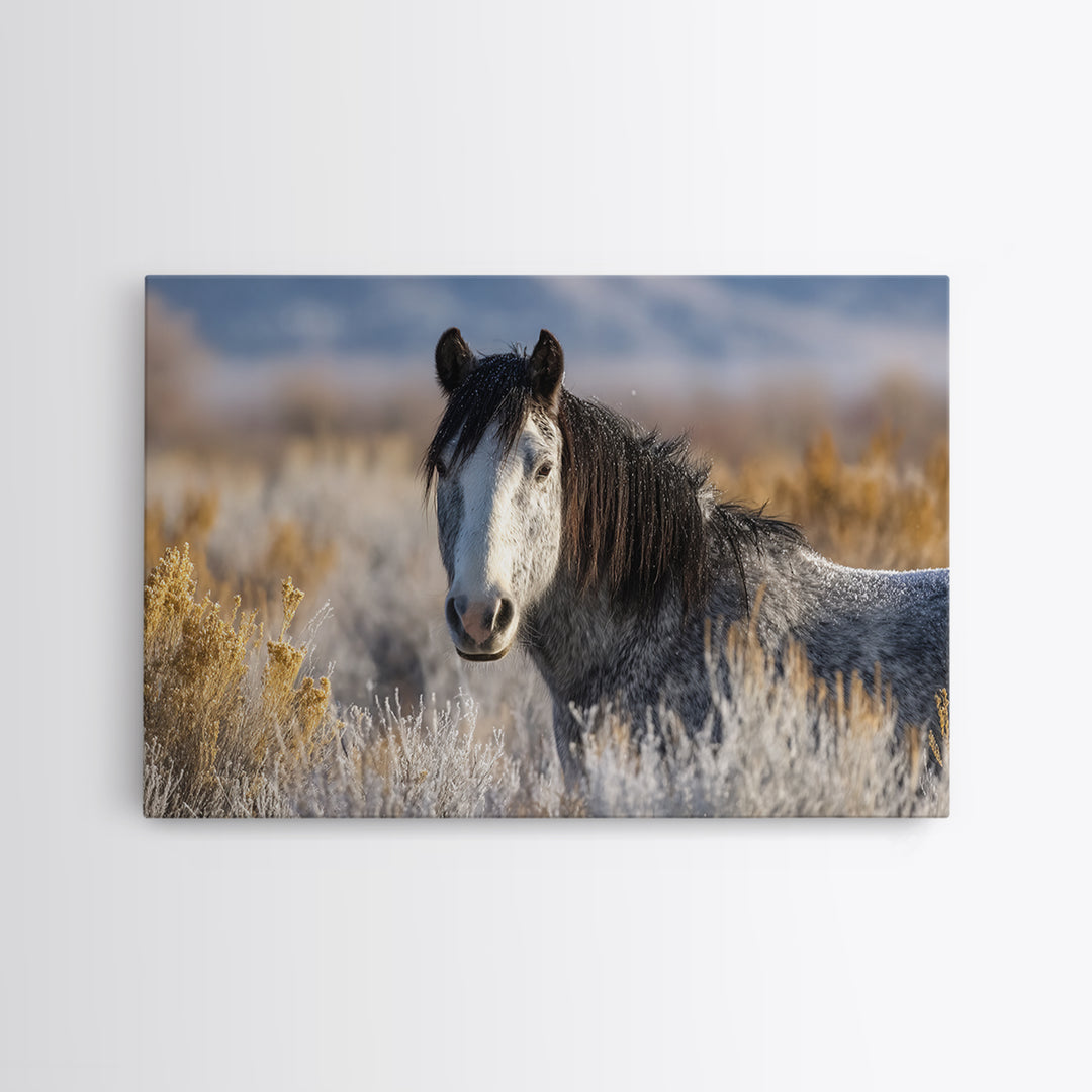 Wild Horse Portrait Framed Canvas Print, Wall Art, Abstract Wall Art, Living Room Decor, Fine Art, Contemporary Art, WAL-3x2-65