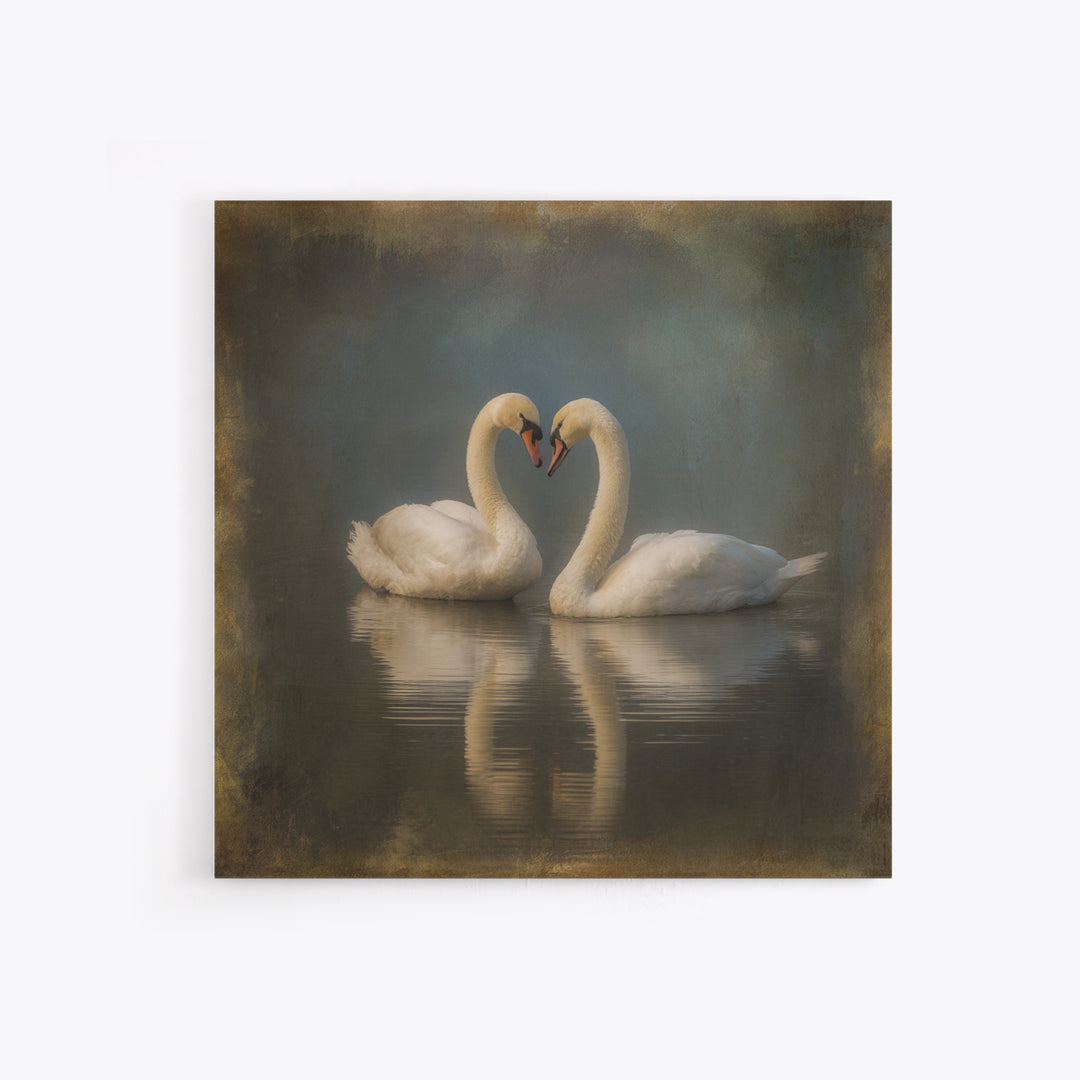 Two Swans Forming a Heart on Dark Canvas Print, Wedding Art, Unique Wedding Gift, Living Room Decor, Fine Art, Romance, WED-1x1-50