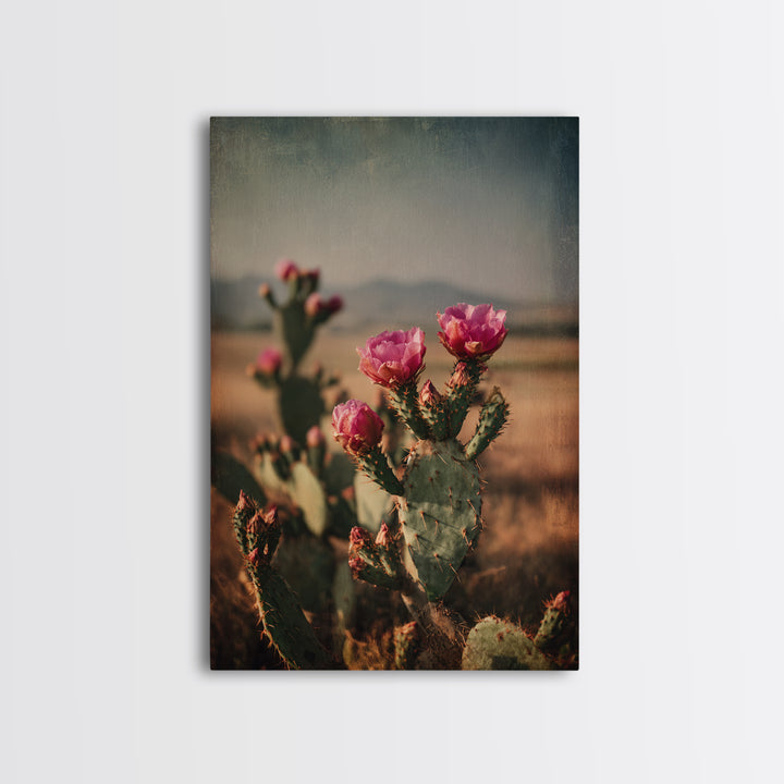 Prickly Pear Cactus Framed Canvas Print, Western Art, Modern Decor, Southwestern Decor, Fine Art, Frontier, Wall Decor, WES-2x3-24