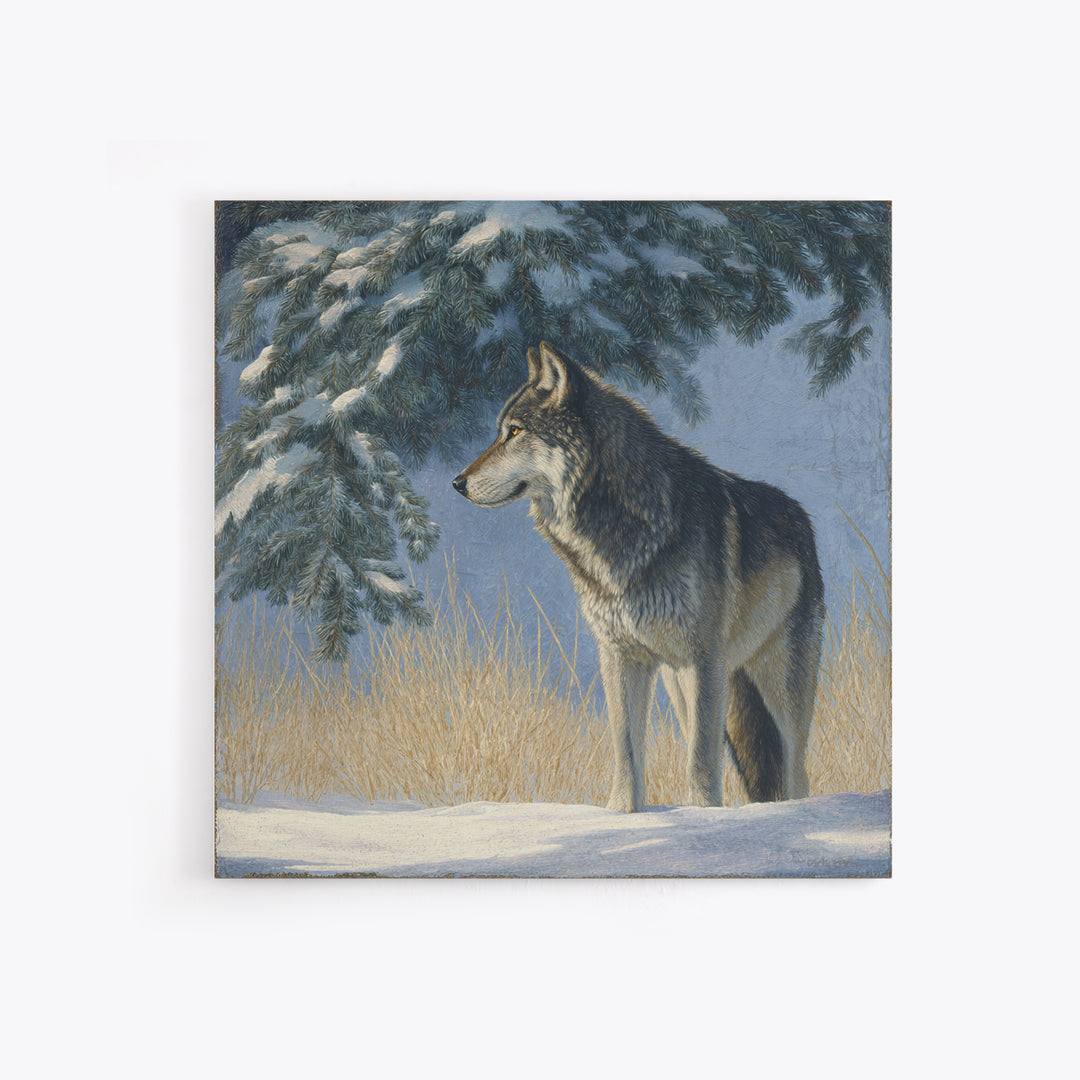 Wolf Standing Beneath Snowy Pine Trees Framed Canvas Print, Wildlife Art, Canvas Print, Living Room Decor, Fine Art, Wild, WIL-1x1-27