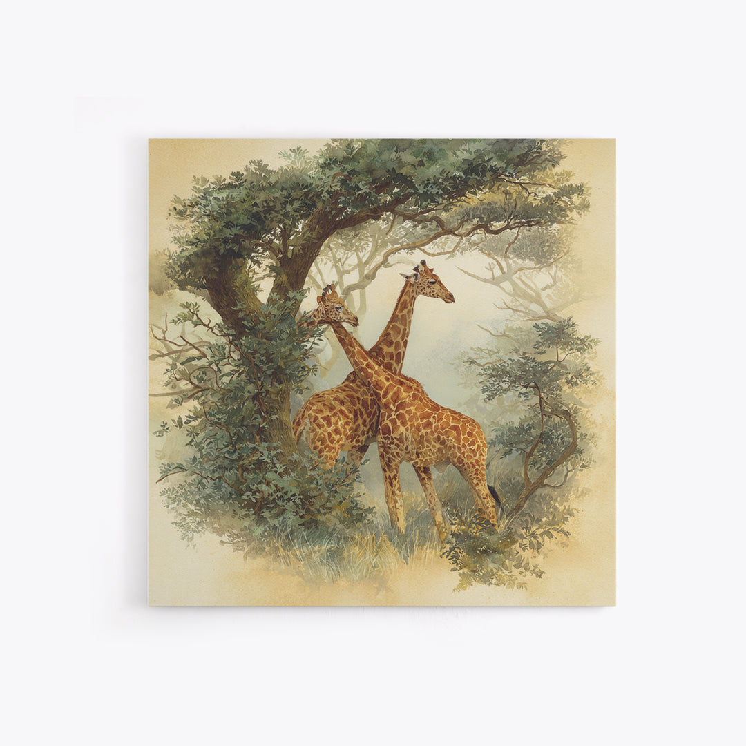 Giraffe Pair under Acacia Tree Framed Canvas Print, Wildlife Art, Living Room Decor, Fine Art, Wild, Living Room Art, WIL-1x1-7