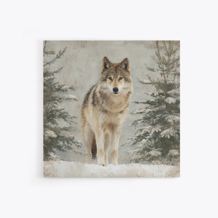 Wolf Standing Beneath Snowy Pine Trees Canvas Print, Wildlife Art, Modern Decor, Living Room Decor, Fine Art, Wild, Home Decor, WIL-1x1-75
