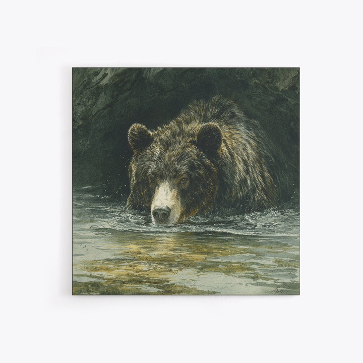 Bear Fishing in Rushing Mountain River Canvas Print, Wildlife Art, Canvas Painting, Living Room Decor, Fine Art, Wild, WIL-1x1-76