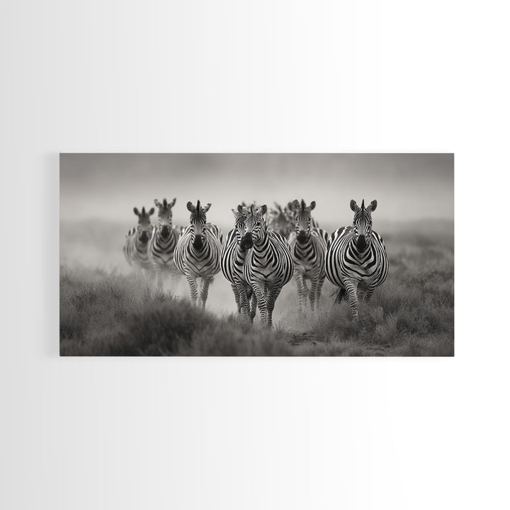 Zebra Herd in Graphic Black and White Framed Canvas Print, Wildlife Art, Boho Wall Decor, Living Room Decor, Fine Art, Wild, WIL-2x1-55