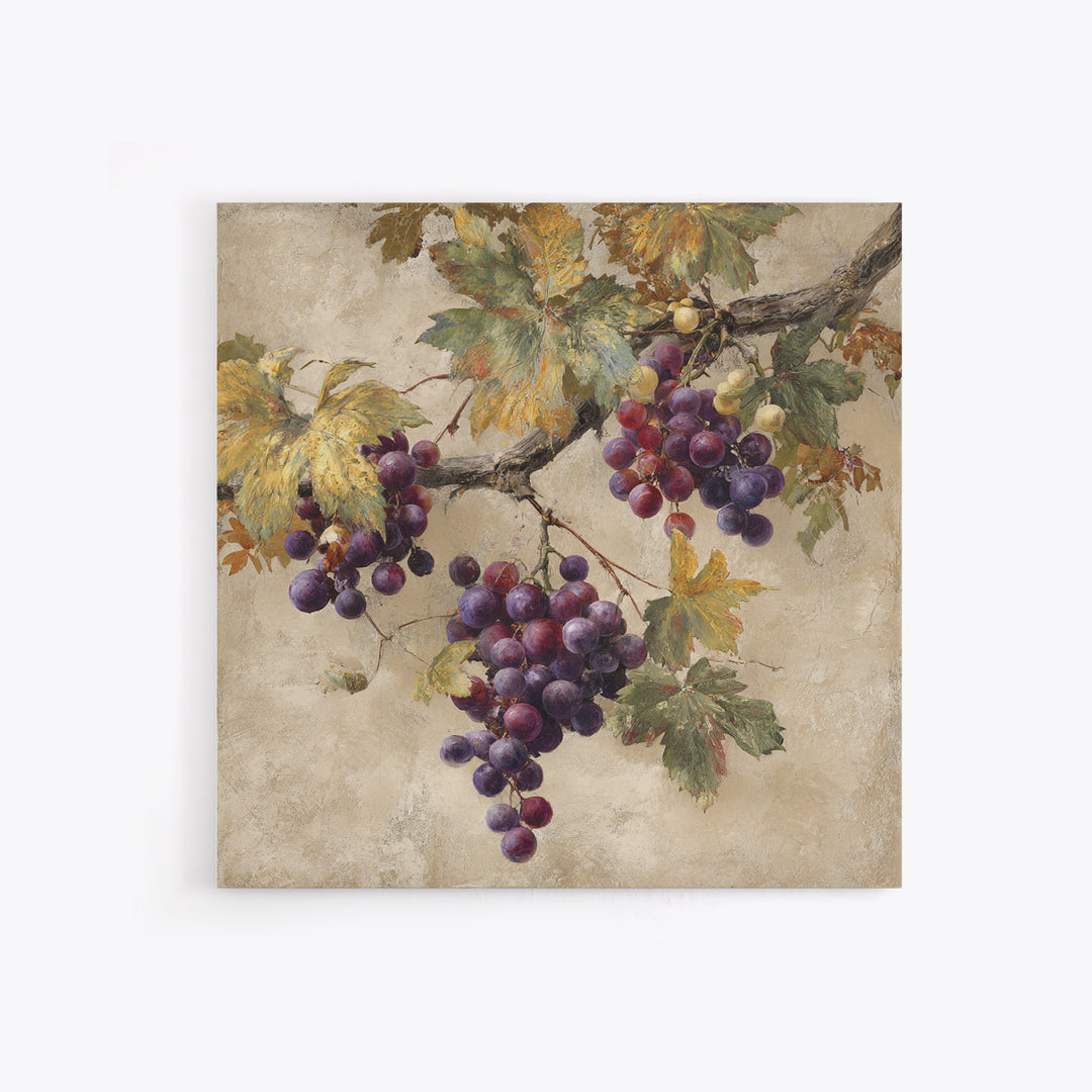 Grapevine Branch with Purple Grapes and Leaves Framed Canvas Print, Winery Art, Home Decor, Winery Decor, Fine Art, Vineyard, WIN-1x1-73