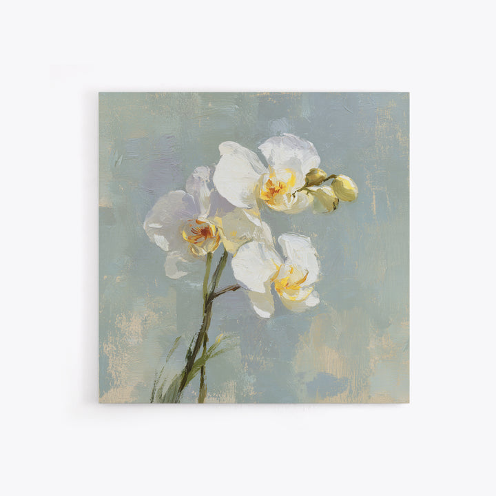 White Orchid on Light Gray Ground Canvas Print, Waiting Room Art, Office Wall Decor, Waiting Room Decor, Fine Art, Calm, WRA-1x1-31