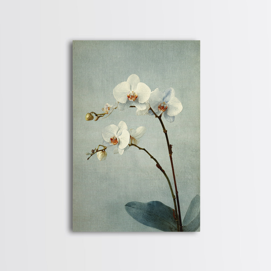 Single Orchid Stem Canvas Print, Zen Art, Art, Living Room Decor, Fine Art, Zen, Garden Art, Japanese Wall Art, Boho Wall Decor, ZEN-2x3-7