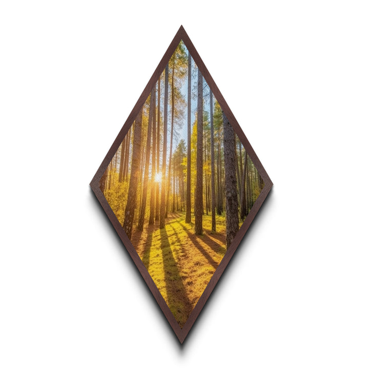 Morning Sunlight Pines Diamond Shaped Canvas Art Print, Nature Photography Wall Decor, Golden Forest Glow Landscape Artwork