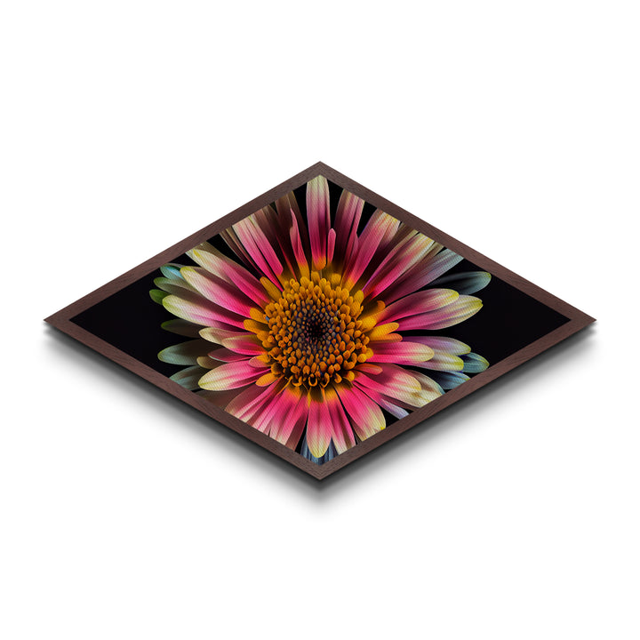 Pink Radiance Bloom Diamond Shaped Canvas Embossed Print, Colorful Flower Wall Art, Botanical Gift, Bright Floral Home Accent