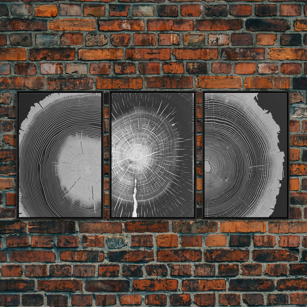 Tree Ring Prints, Lake House Large Wall Art, Boho Art, Minimalist, Farmhouse Art