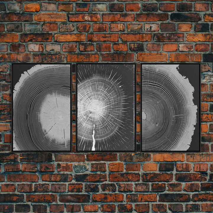 Tree Ring Prints, Lake House Large Wall Art, Boho Art, Minimalist, Farmhouse Art