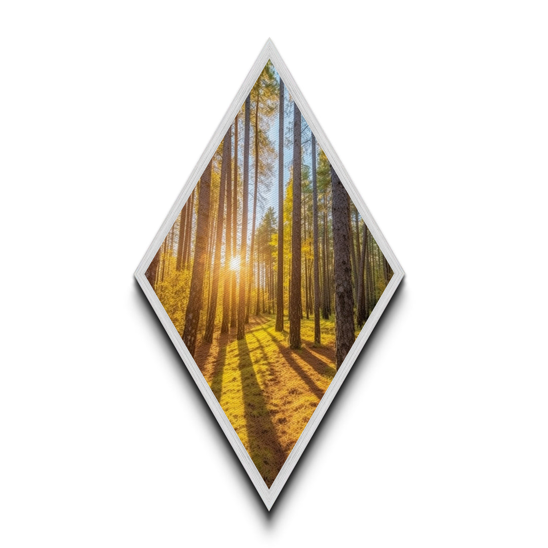 Morning Sunlight Pines Diamond Shaped Canvas Art Print, Nature Photography Wall Decor, Golden Forest Glow Landscape Artwork