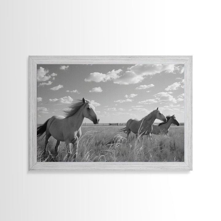 Fine Art Framed Canvas Print, Metal Art, Black & White Photo of Wild Mustangs, Horse Art, American Horses Landscape / Nature / Wildlife Art