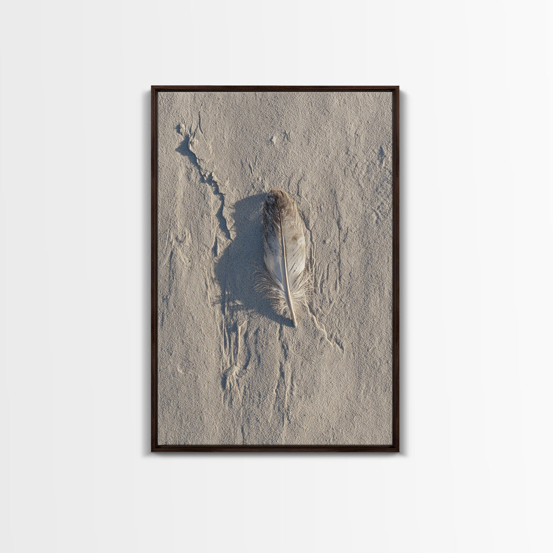 Beach Sand With Single Feather Close Up Minimalist Nature Photography Wall Art Print For Coastal Home Decor Framed Canvas Print