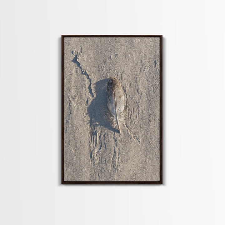 Beach Sand With Single Feather Close Up Minimalist Nature Photography Wall Art Print For Coastal Home Decor Framed Canvas Print