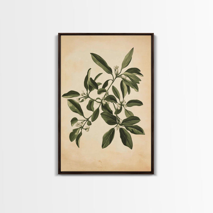 Mistletoe Canvas Print - Framed Canvas - Minimalist Christmas Art - Boho Christmas Art - Rustic Christmas Art