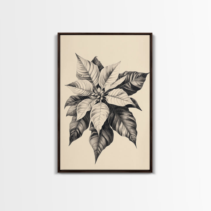 Poinsetta Canvas Print - Framed Canvas - Minimalist Christmas Art - Boho Christmas Art - Rustic Christmas Art