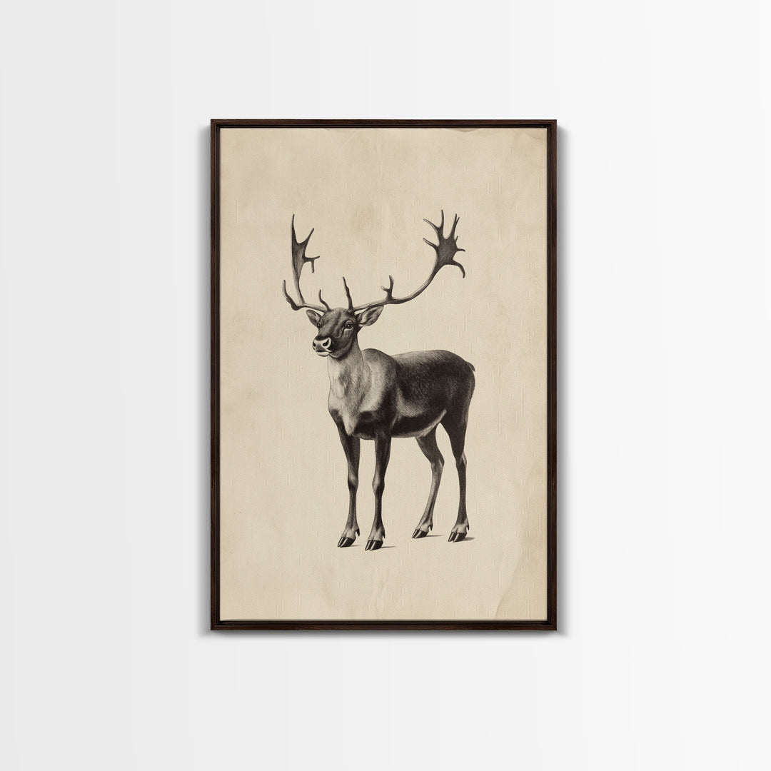 Reindeer Canvas Print - Framed Canvas - Minimalist Christmas Art - Boho Christmas Art - Rustic Christmas Art