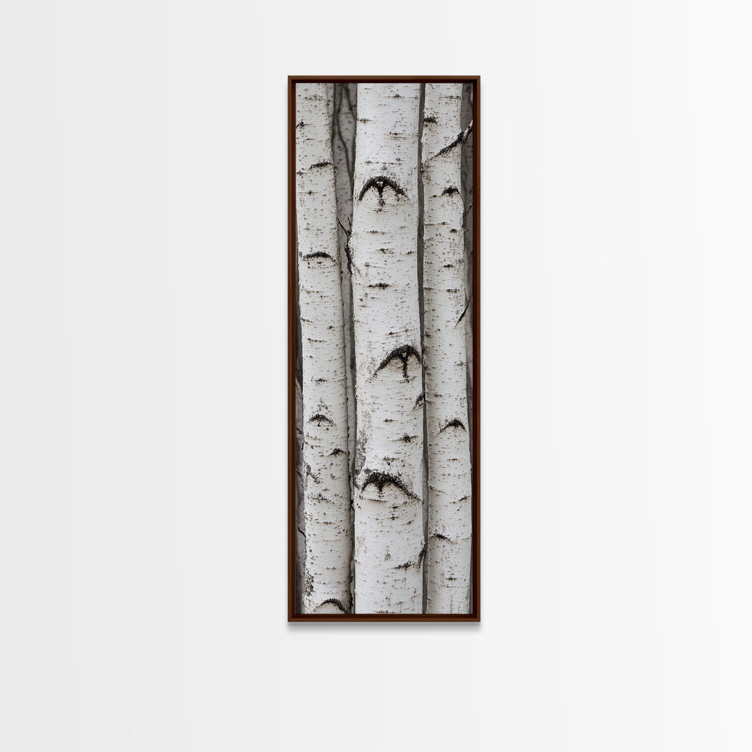 Classic Birch Trees Black and White Wall Art Framed Canvas Print Rustic Farmhouse Art Tall Narrow Art Guest Room Decor