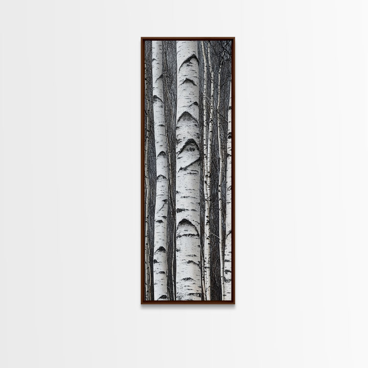 Birch Tree Forest Framed Canvas Print Rustic Nature Wall Art Farmhouse Rustic Bedroom or Living Room Decor