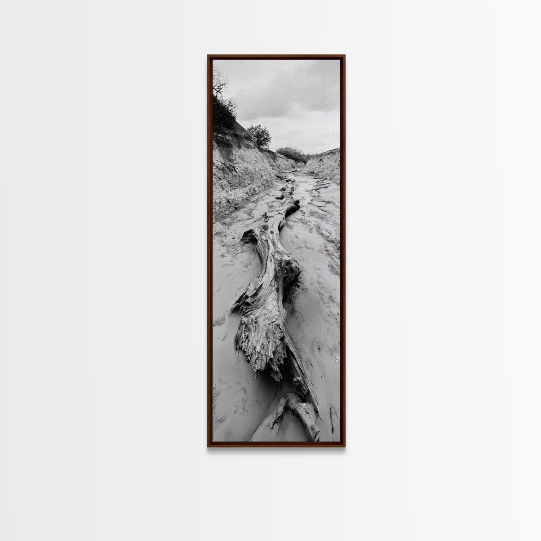 Driftwood, Nature Path, Earthy Decor, Rustic Home Style, Framed Canvas Print, Living Room Wall Art, Natural Landscape Photography
