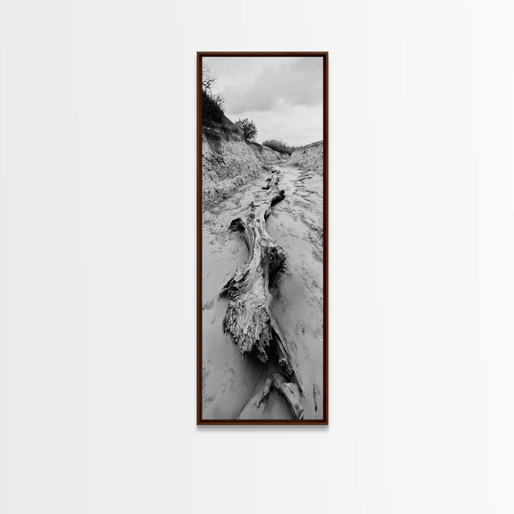Driftwood, Nature Path, Earthy Decor, Rustic Home Style, Framed Canvas Print, Living Room Wall Art, Natural Landscape Photography