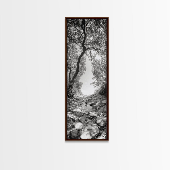 Forest Path, Rock Creek, Canopy Light, Calm Nature Scene, Canvas Print, Entryway Wall Art, Tranquil Minimalist Landscape Print