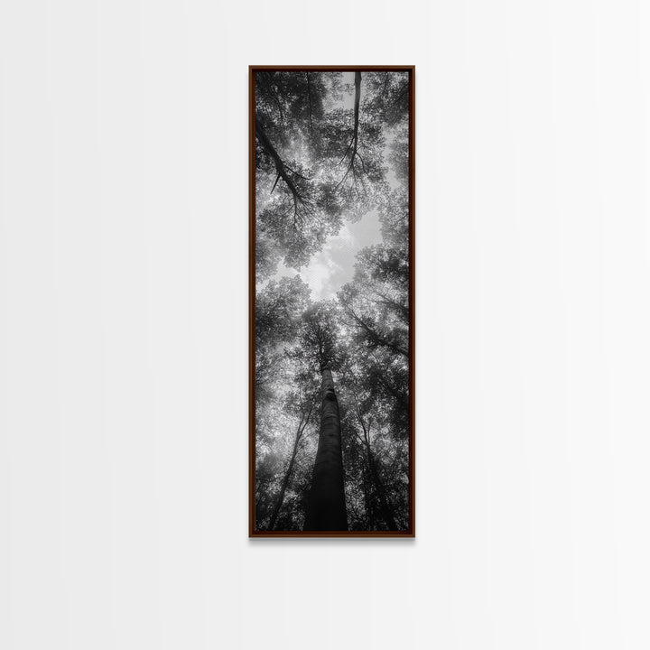 Forest Canopy, Nature Perspective, Tranquil Trees, Black and White, Framed Canvas Print, Cabin Wall Art, Scandinavian Decor, Minimalist Style