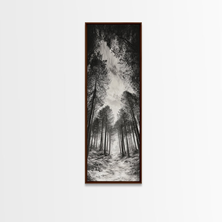 Pine Forest, Nature Path, Tree Canopy, Tranquil Woods, Canvas Print, Forest Wall Art, Minimalist Nature Decor, Meditation Room Artwork