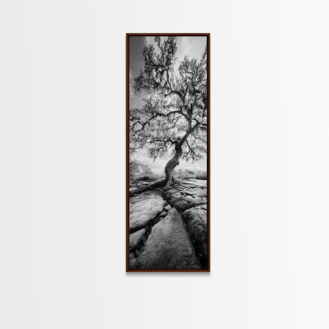 Wisdom Oak Tree, Forest Roots, Ancient Energy, Framed Canvas Print, Rustic Living Room Wall Art, Nature Inspired, Boho Woodland Art