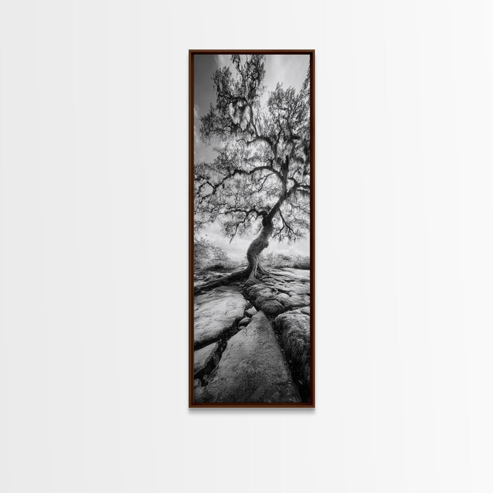 Wisdom Oak Tree, Forest Roots, Ancient Energy, Framed Canvas Print, Rustic Living Room Wall Art, Nature Inspired, Boho Woodland Art
