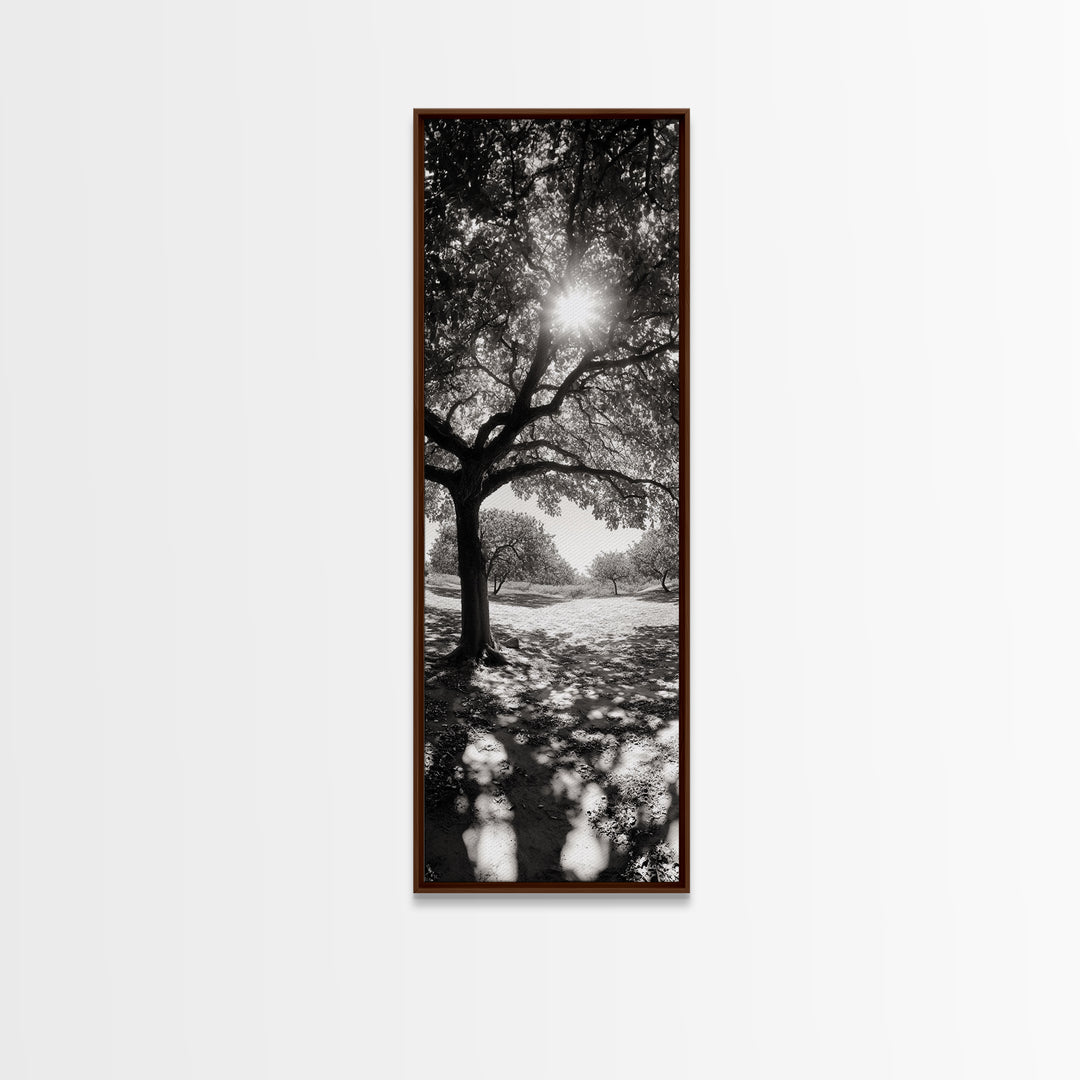 Sunlight Tree, Autumn Glow, Nature Shadowplay, Black White Forest Scene, Canvas Print, Fall Living Room Art, Boho Earthy Wall Decor