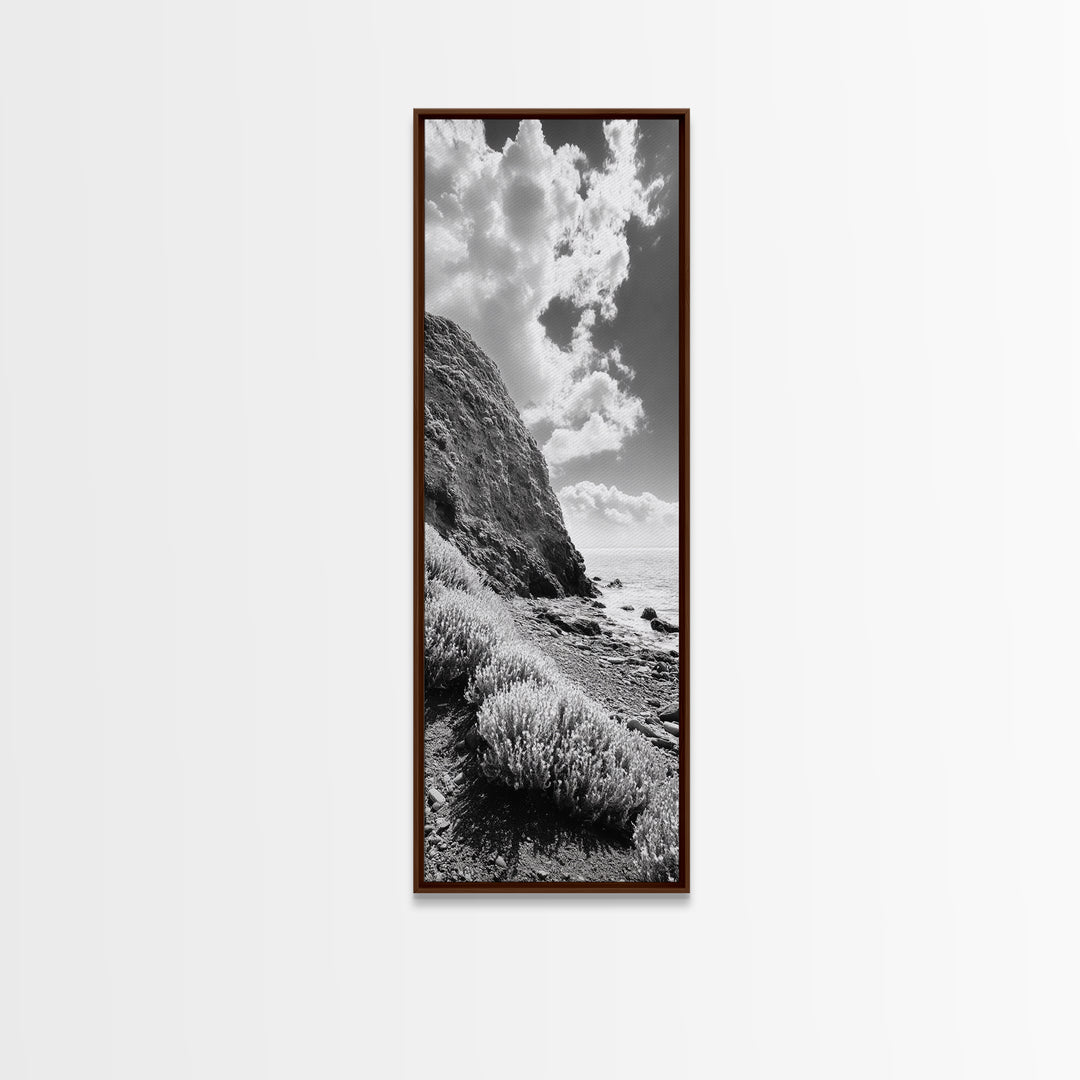 Coastal Shrubs, Rocky Beach, Sunlit Cliffside, Framed Canvas Print, Kitchen Wall Art, Black and White Nature, Scandinavian Home Style