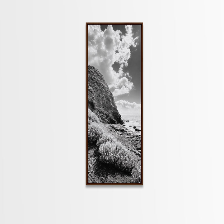 Coastal Shrubs, Rocky Beach, Sunlit Cliffside, Framed Canvas Print, Kitchen Wall Art, Black and White Nature, Scandinavian Home Style
