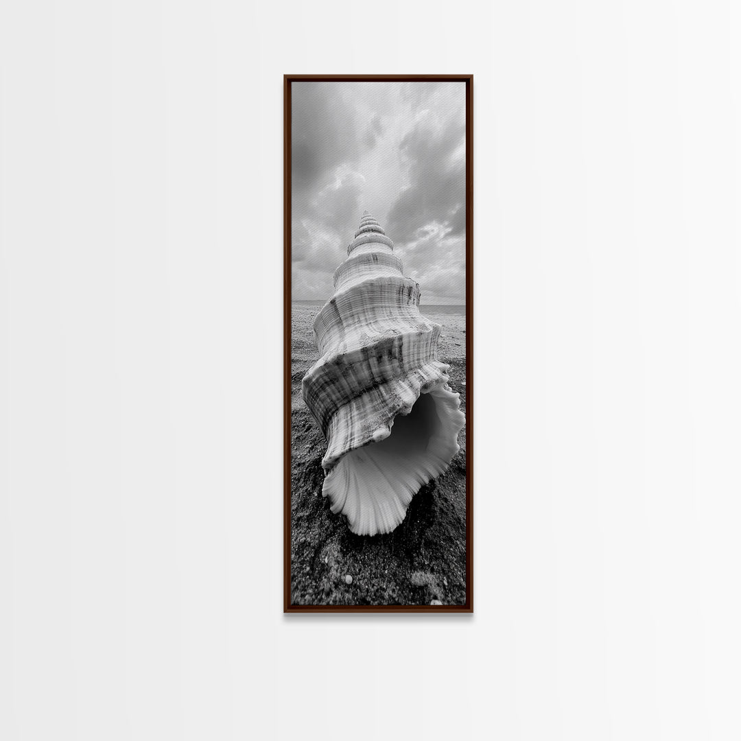 Shell Closeup, Ocean Texture, Natural Spiral, Minimalist Shell, Seashell Photography Framed Canvas Print, Coastal Kitchen Wall Art
