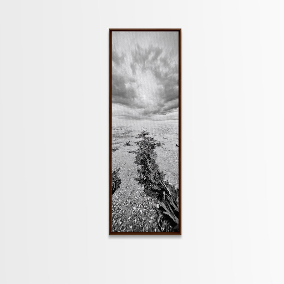 Seaweed Trail, Ocean Depth, Coastal Texture, Shoreline Calm, Marine Inspired Canvas Print, Minimalist Bathroom Wall Art, Ocean Decor