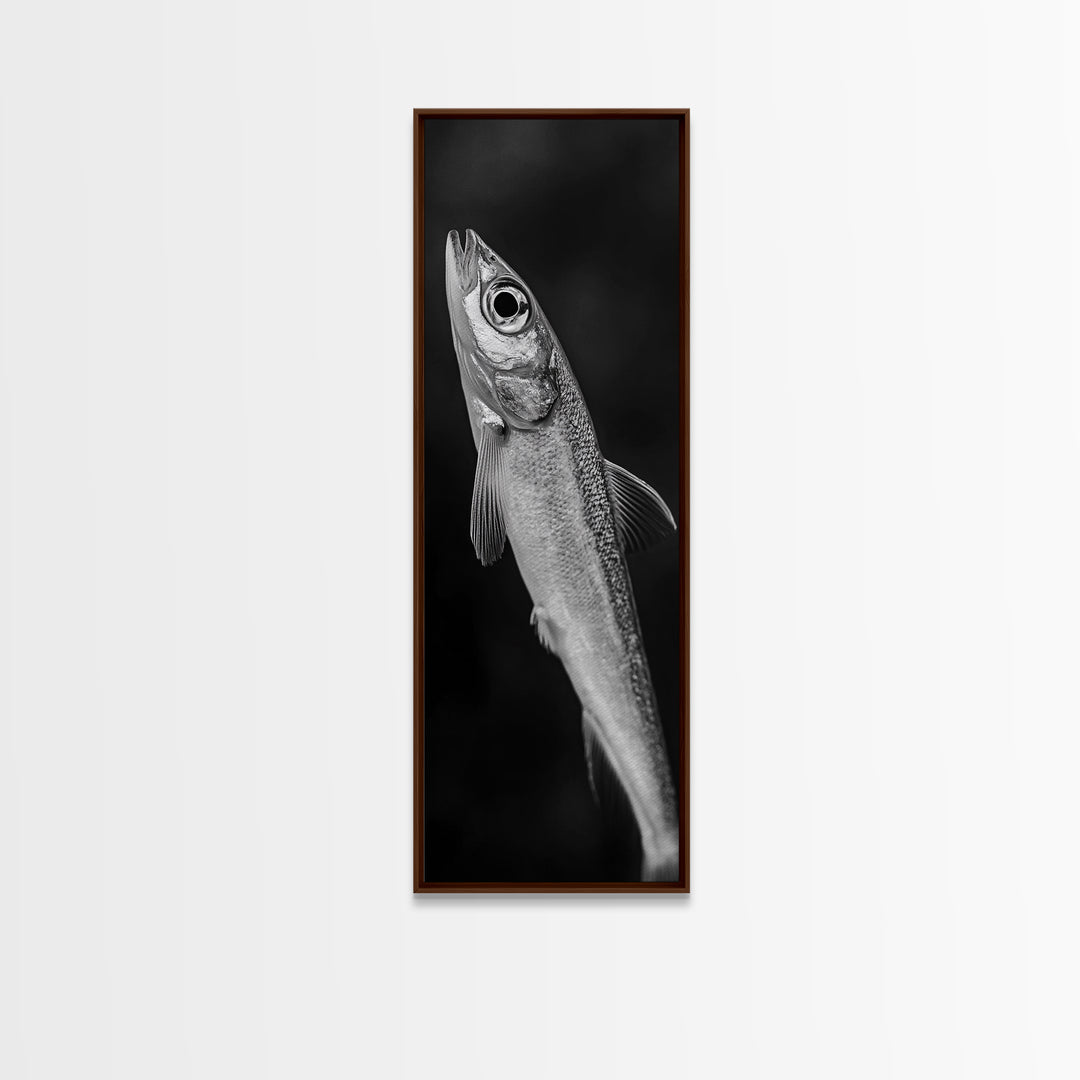 Silver Fish, Minimal Animal, Ocean Catch, Framed Canvas Print, Kitchen Wall Art, Nature Inspired Decor, Monochrome Sea Life