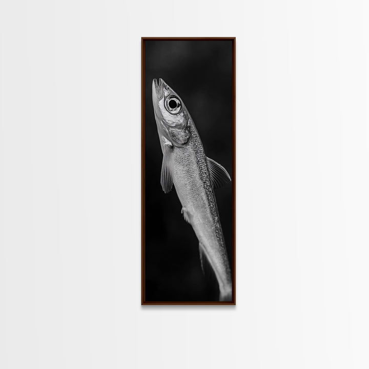Silver Fish, Minimal Animal, Ocean Catch, Framed Canvas Print, Kitchen Wall Art, Nature Inspired Decor, Monochrome Sea Life
