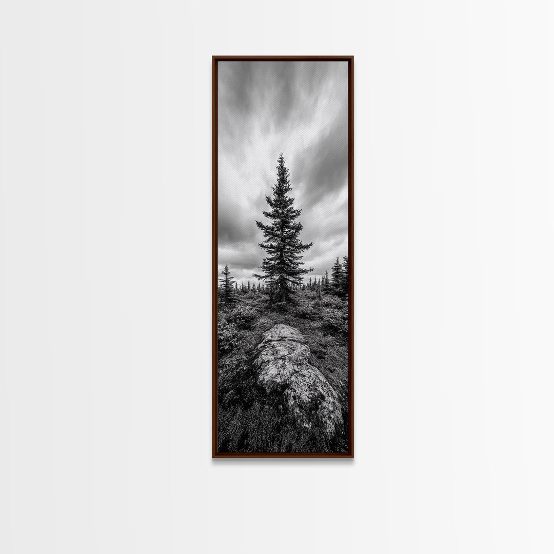 Lone Pine Tree, Forest Mood, Wilderness Art, Framed Canvas Print, Minimalist Wall Decor, Cabin Art, Neutral Fall Tones, Nature Lover Gift
