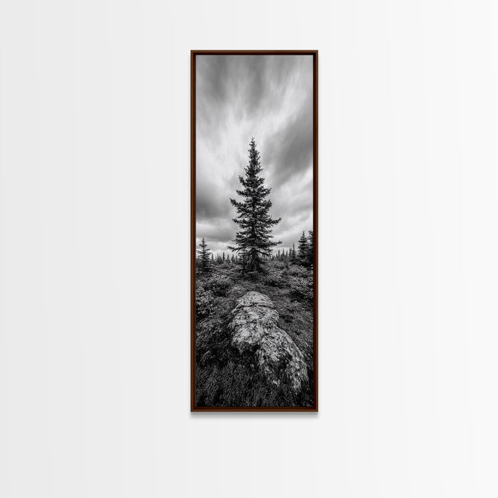 Lone Pine Tree, Forest Mood, Wilderness Art, Framed Canvas Print, Minimalist Wall Decor, Cabin Art, Neutral Fall Tones, Nature Lover Gift