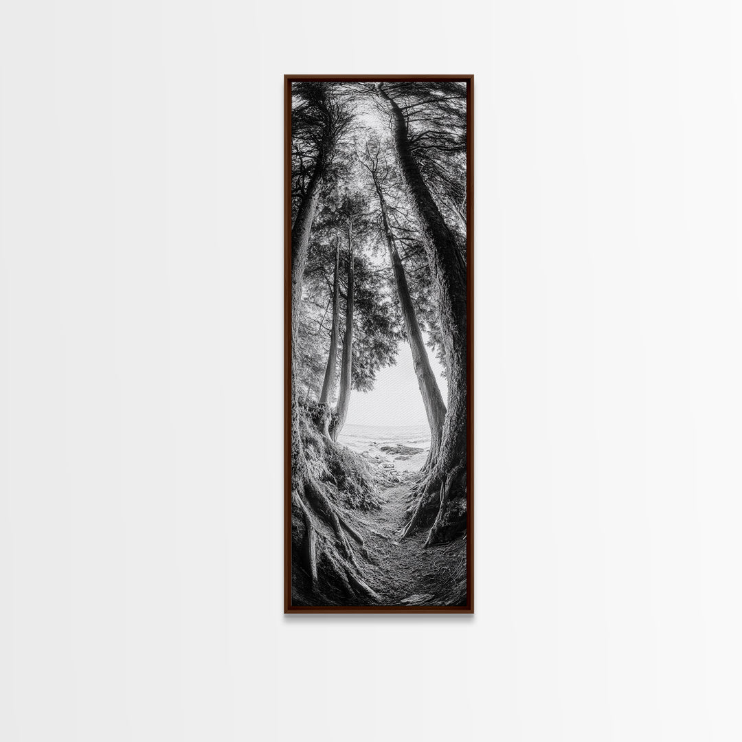 Forest Path, Ocean View, Tall Trees, Canvas Print, Black and White Nature Art, Entryway Wall Art, Rustic Woodland Aesthetic, Bedroom Wall Art