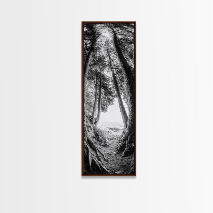 Forest Path, Ocean View, Tall Trees, Canvas Print, Black and White Nature Art, Entryway Wall Art, Rustic Woodland Aesthetic, Bedroom Wall Art